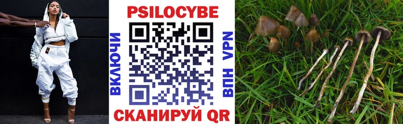 Галлюциногенные грибы Magic Shrooms Троицк