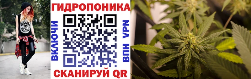 Каннабис индика  mega ССЫЛКА  Троицк 